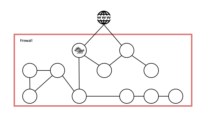 A diagram showing how several containerized apps are connected, causing the firewall to defend a more complex structure with several applications, components and attack vectors. One of the components contains a wolf, to illustrate that the attacker might already have breached the perimeter and thereby having free access to hunt along the connection lines within the perimeter. 